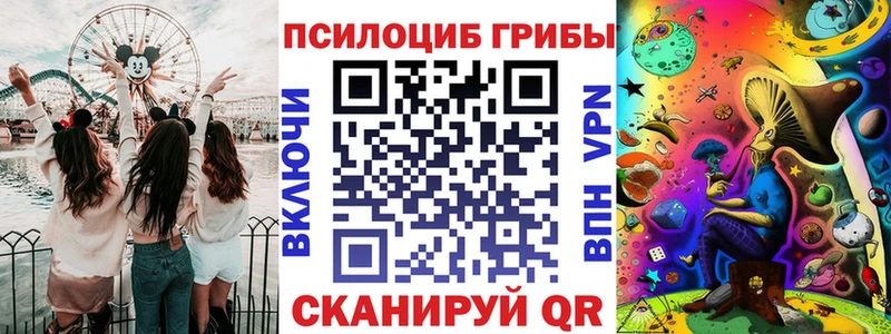 Купить закладки  Баксан  Галлюциногенные грибы Psilocybine cubensis 